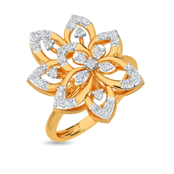 Rich Signature Ring