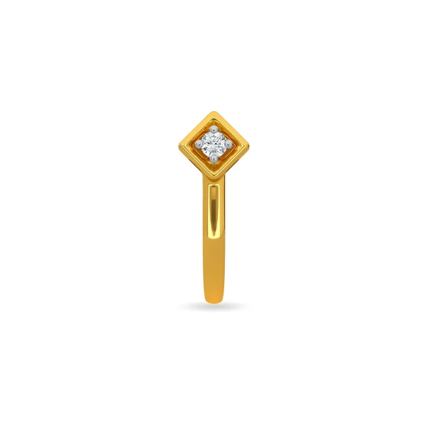 Show Off Nose Pin